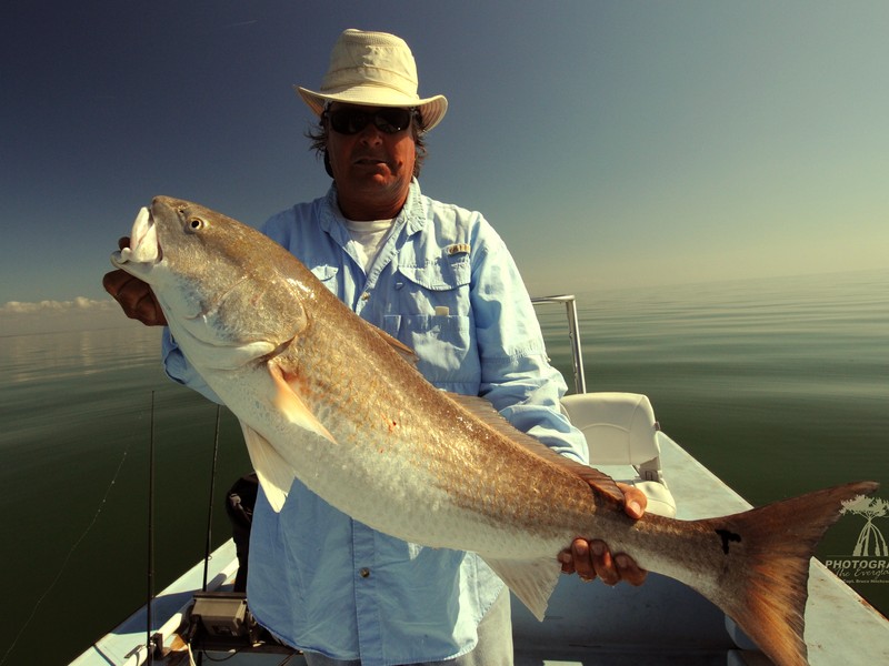 Captain Bruce with a nice bull red